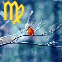 Horoscop Fecioară