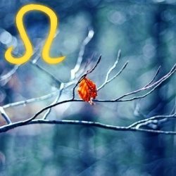 Horoscop Leu