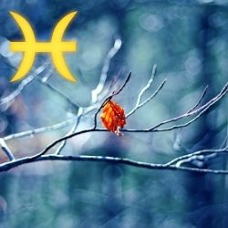 Horoscop Pești