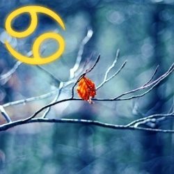 Horoscop Rac
