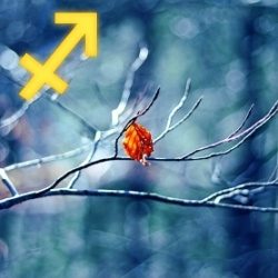 Horoscop Săgetător