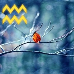 Horoscop Vărsător