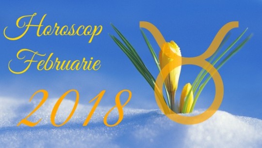 Horoscop Taur februarie 2018